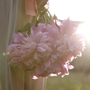 Despierte y transforma tu vida en tan sólo 21 días